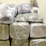 marijuana seize