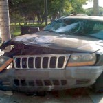 Municipal Building crash