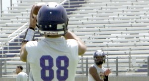 Greyhound practice1